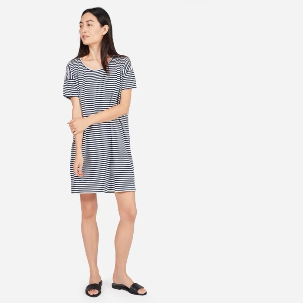 The Cotton Striped Tee Dress (Everlane)